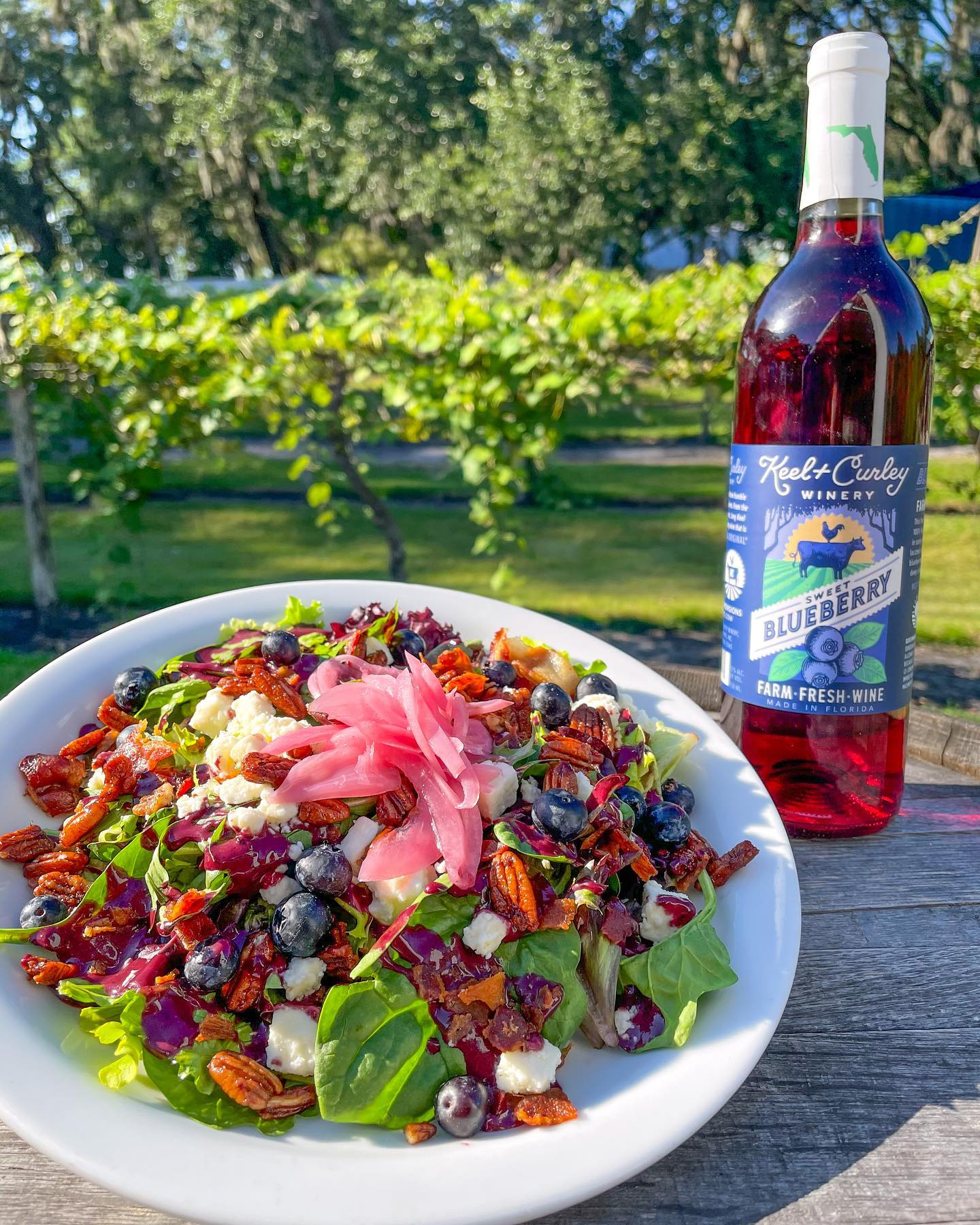 The Best Florida Blueberry Wines to Enjoy This Spring — Keel Farms